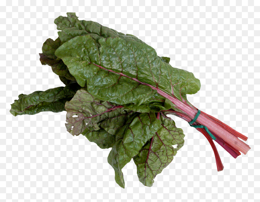 Mangold Or Swiss Chard - Swiss Chard Veggies Png, Transparent Png - spinach png