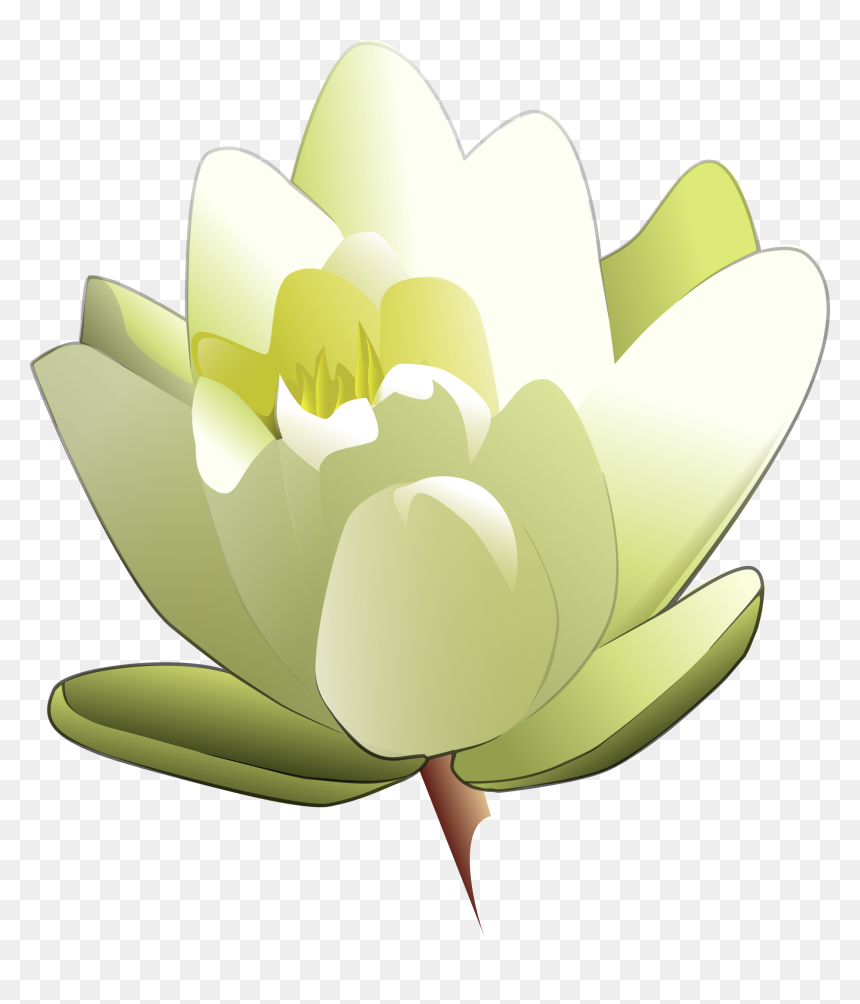 Water Lily Clip Arts - Water Lily Clipart, HD Png Download - lily png
