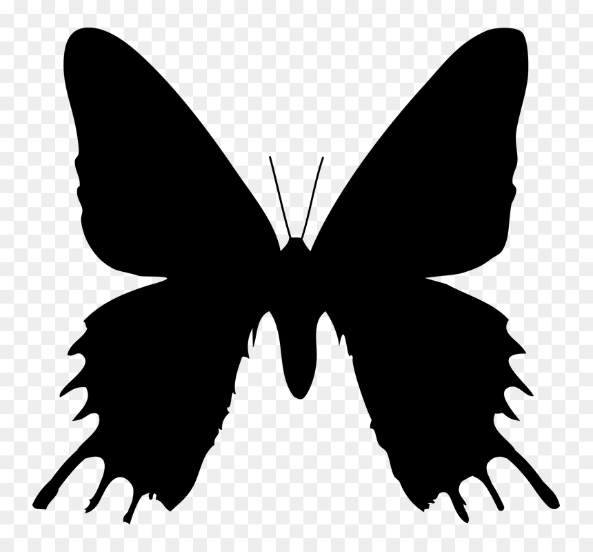 Chrysiridia Rhipheus, HD Png Download - butterfly silhouette png
