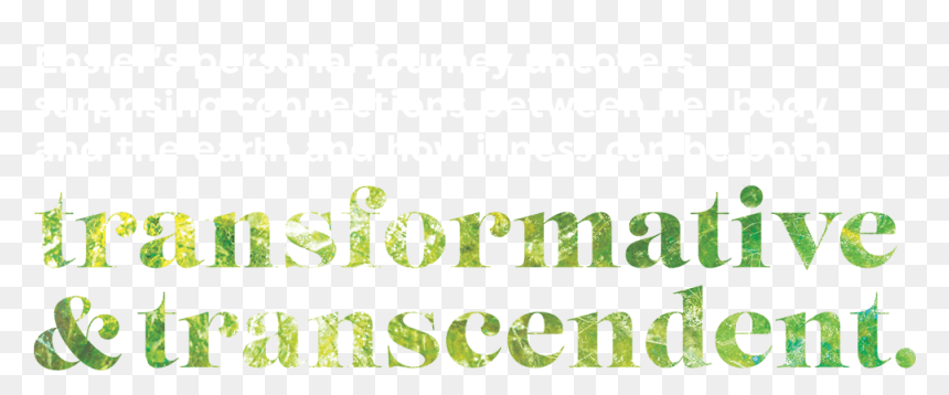 Transparent Quote Mark Png - Calligraphy, Png Download - quotation marks png