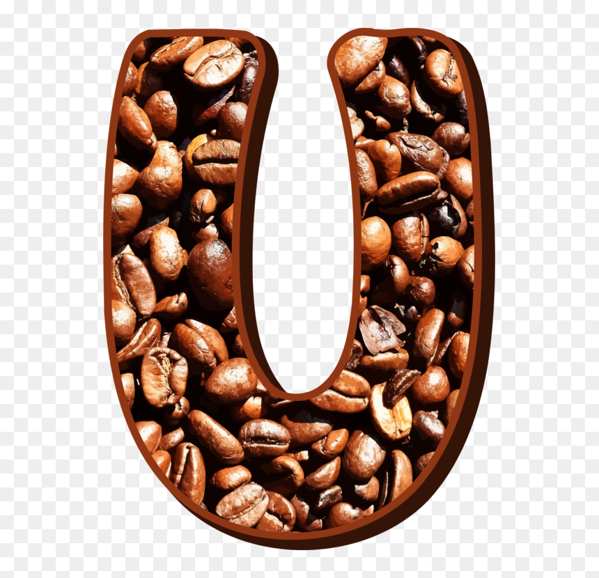 Jamaican Blue Mountain Coffee Cafe Coffee Bean Arabica - Coffee Bean U Png, Transparent Png - coffee bean png