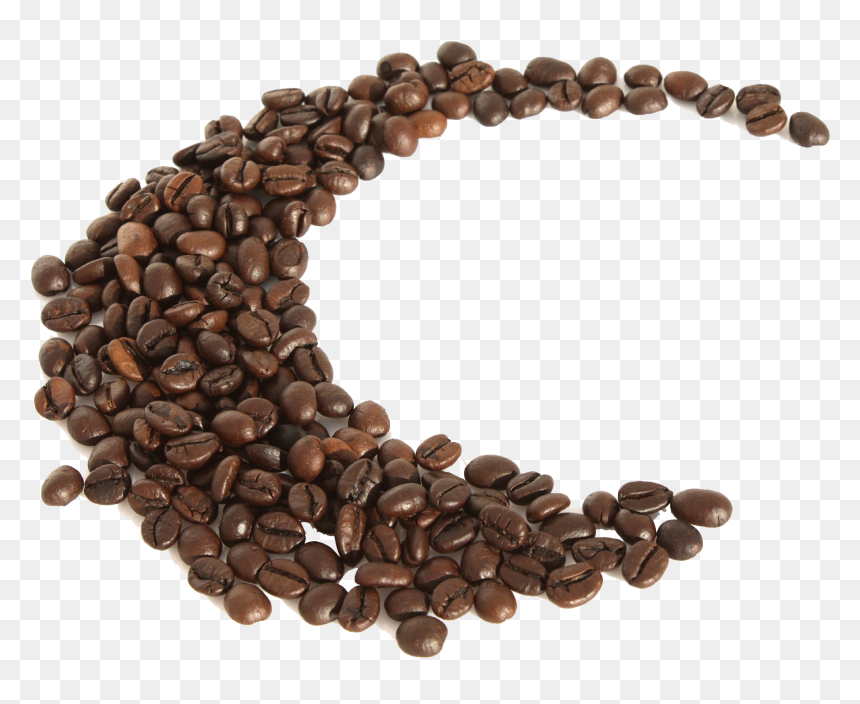 Coffee Bean Espresso Quotation Caffeinated Drink - Roasted Coffee Beans Png, Transparent Png - coffee bean png
