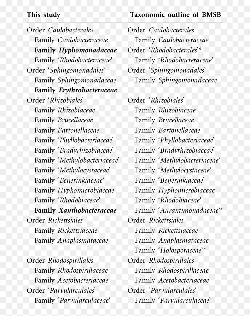 Tiden, HD Png Download - quotation marks png