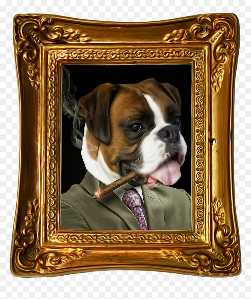 Transparent Funny Dog Png - Bulldog, Png Download - cute dog png