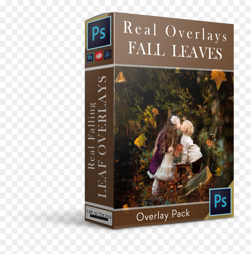 Real Falling Leaves Overlays - Flyer, HD Png Download - frost overlay png