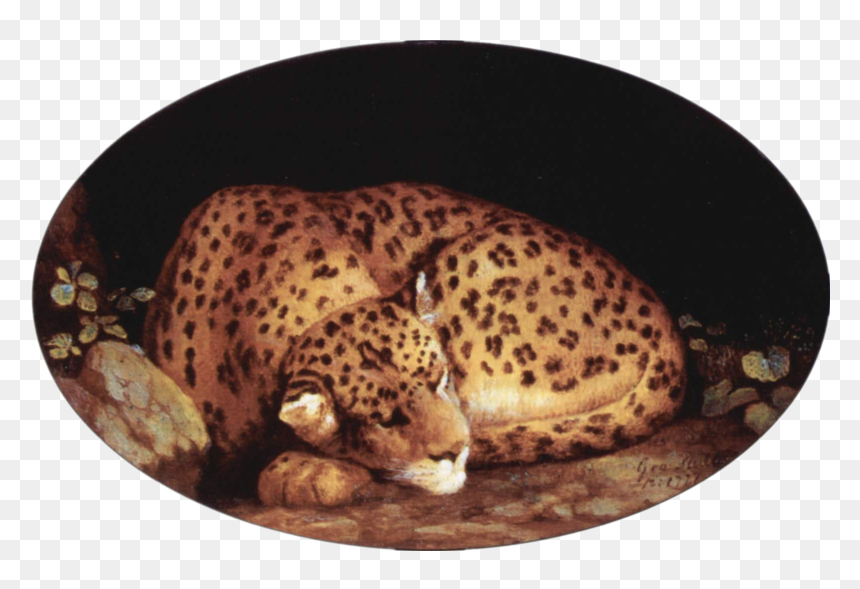 File - George Stubbs - Leopard - George Stubbs Sleeping Leopard, HD Png Download - leopard png