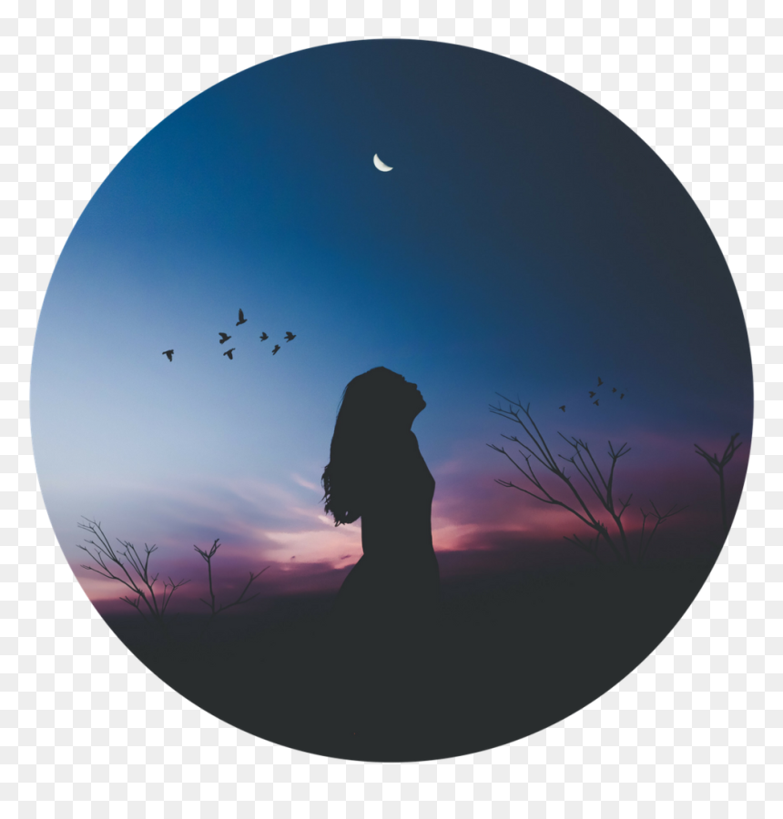 Searching For Peace , Png Download - Status For Womens Day For Instagram, Transparent Png - peace png