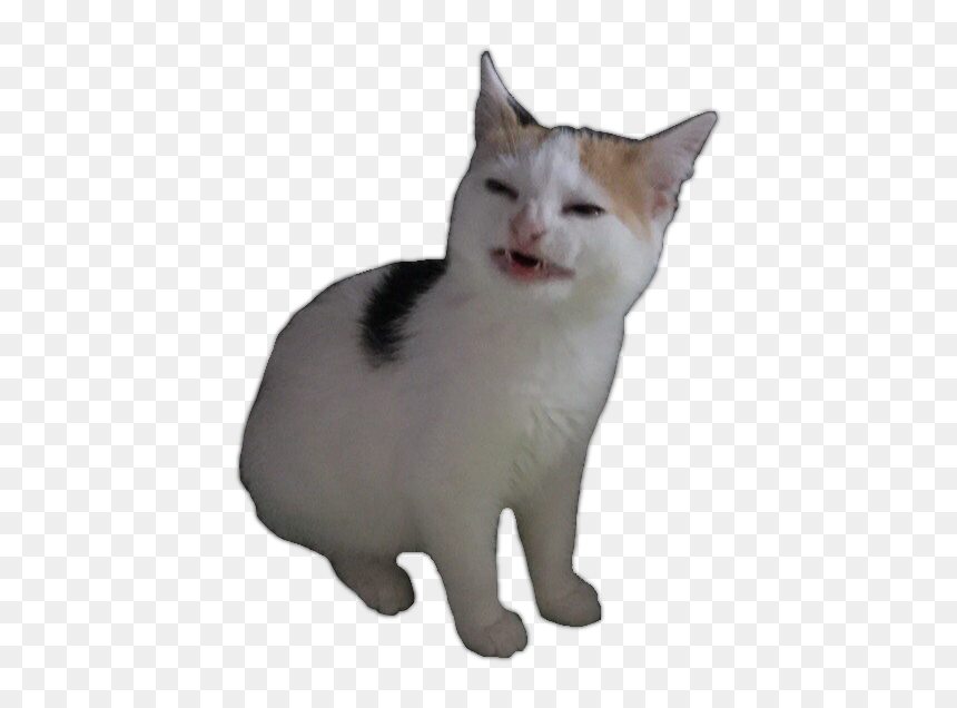 Zero"s Moose Knuckle On Twitter - Transparent Background Memes Png, Png Download - twitter png transparent
