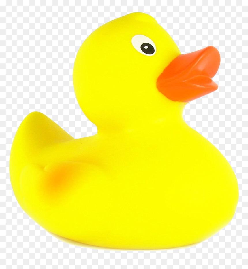 Rubber Duck Png Free Pic - Parque Natural Do Sudoeste Alentejano E Costa Vicentina, Transparent Png - rubber duck png