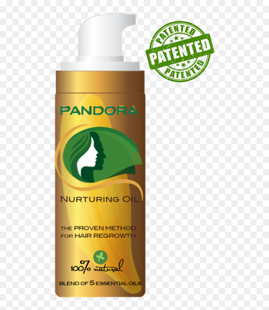 Graphic Design, HD Png Download - pandora logo png