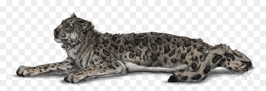 Full Image Of The Snow Leppy Decor By Rixon - Snow Leopard Transparent Background, HD Png Download - leopard png
