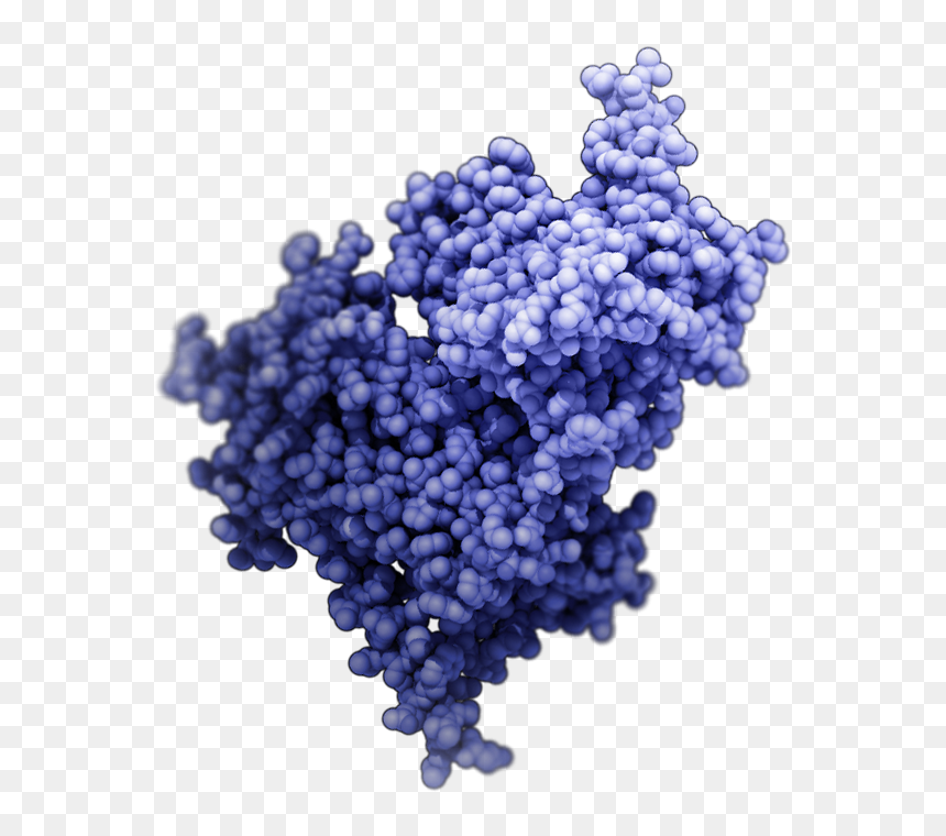 Seedless Fruit, HD Png Download - drugs png