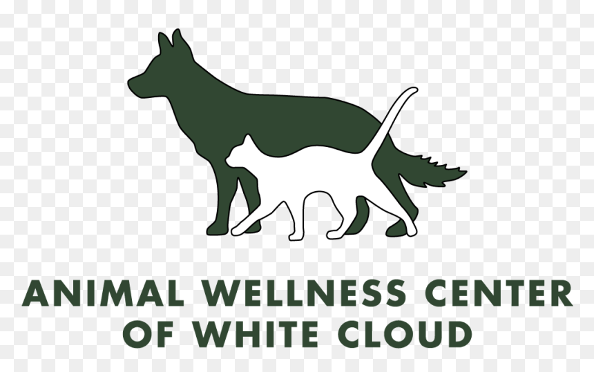 Picture - Dog Catches Something, HD Png Download - white cloud png
