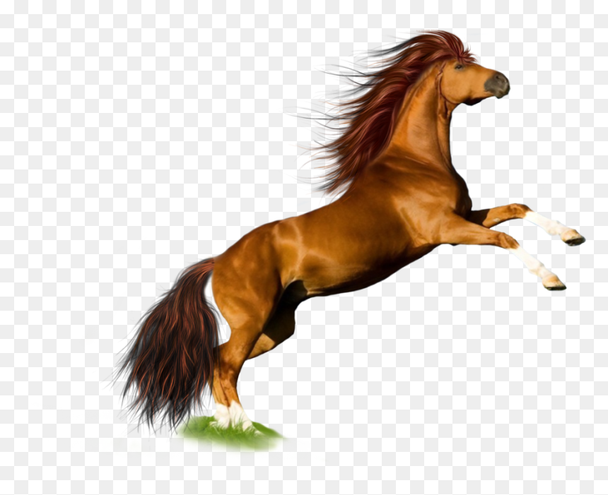 Thumb Image - Horse Png, Transparent Png - horses png
