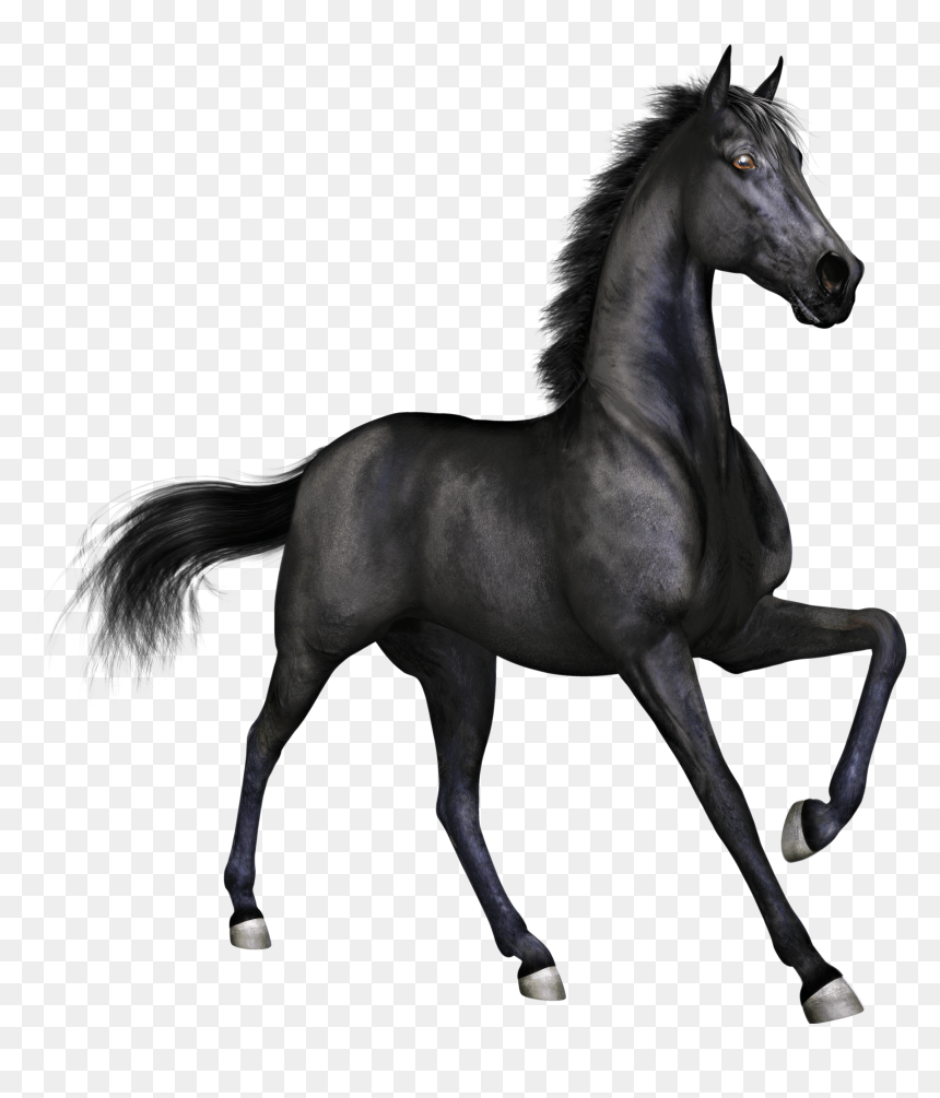 Black Race Horse - Black Horse Png, Transparent Png - horses png