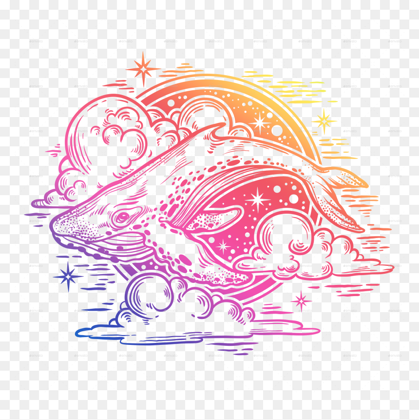 Whale With Night Sky - Illustration, HD Png Download - night sky png