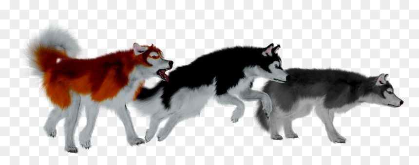 Malemute Dog With Woman Selfie, HD Png Download - husky png