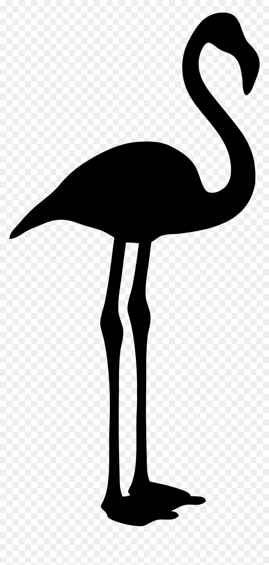 Pink Flamingo Black And White, HD Png Download - black and white png