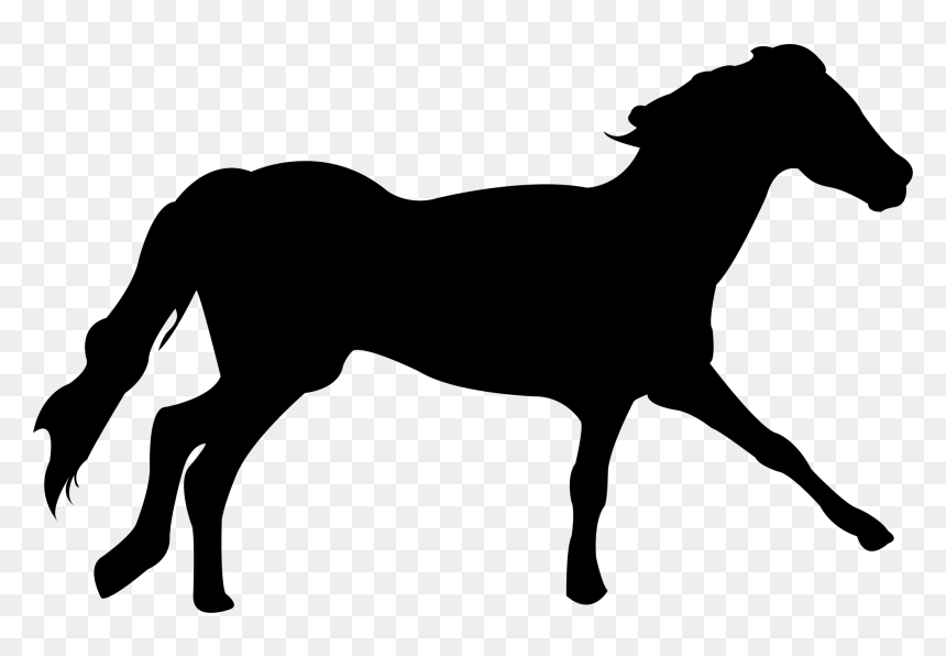 Mustang Clydesdale Horse Arabian Horse Dartmoor Pony - Clydesdale Transparent Png, Png Download - horses png