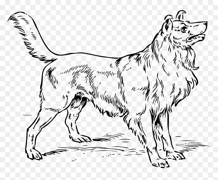 Dog Clip Art, HD Png Download - black and white png