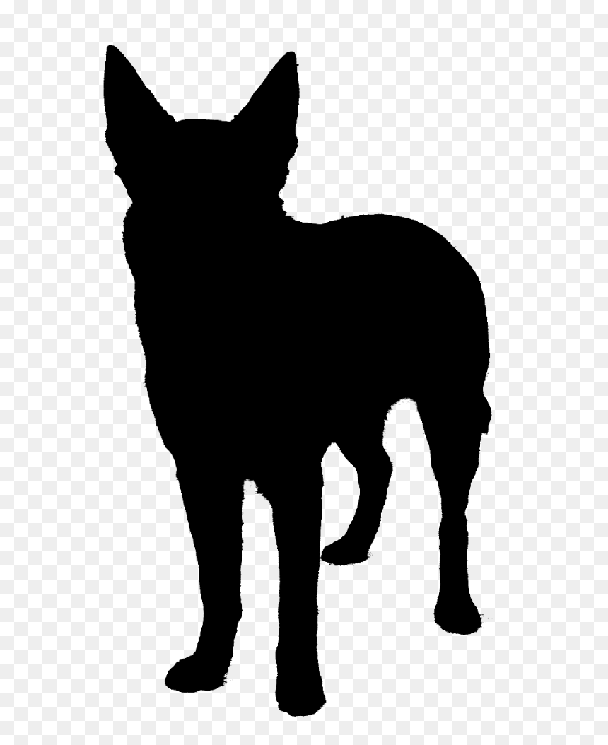 Dog Breed Can Stock Photo Silhouette Image Siberian - Buck Boer Goat Silhouette, HD Png Download - husky png