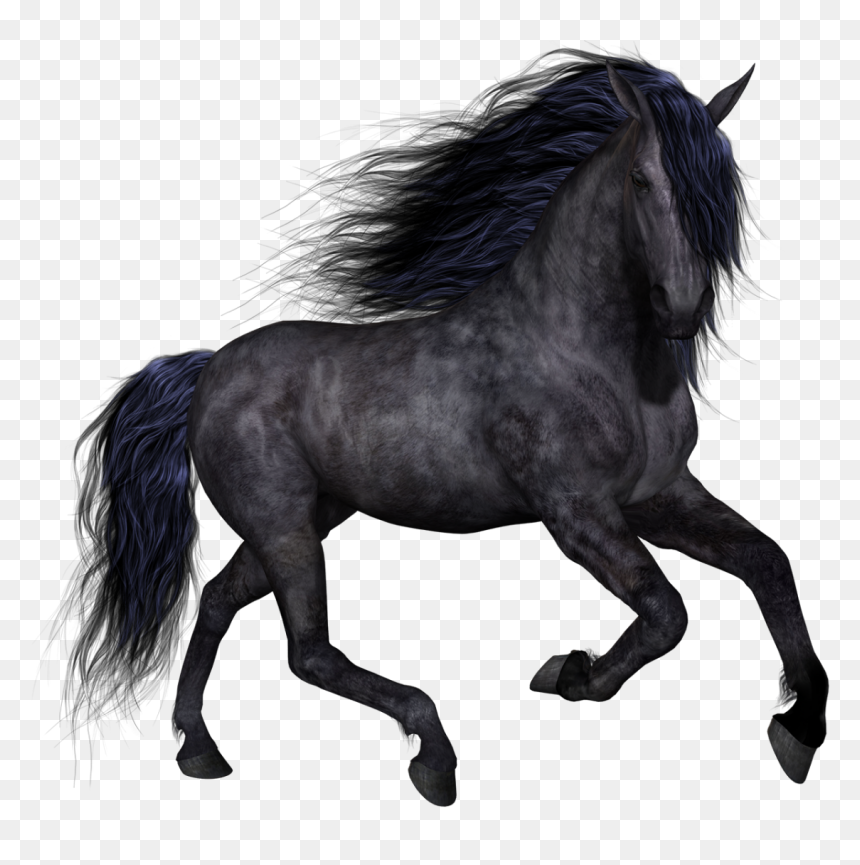 Horse Clip Art - Transparent Black Horse Png, Png Download - horses png
