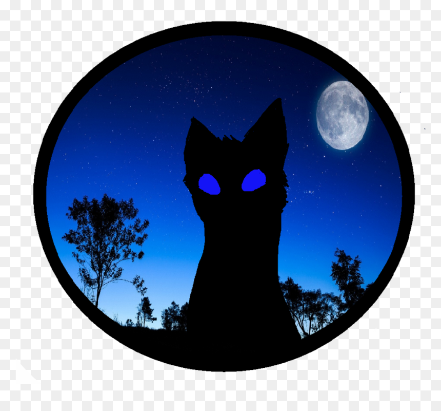Cat Dog Wallpaper - 满月 高清, HD Png Download - night sky png