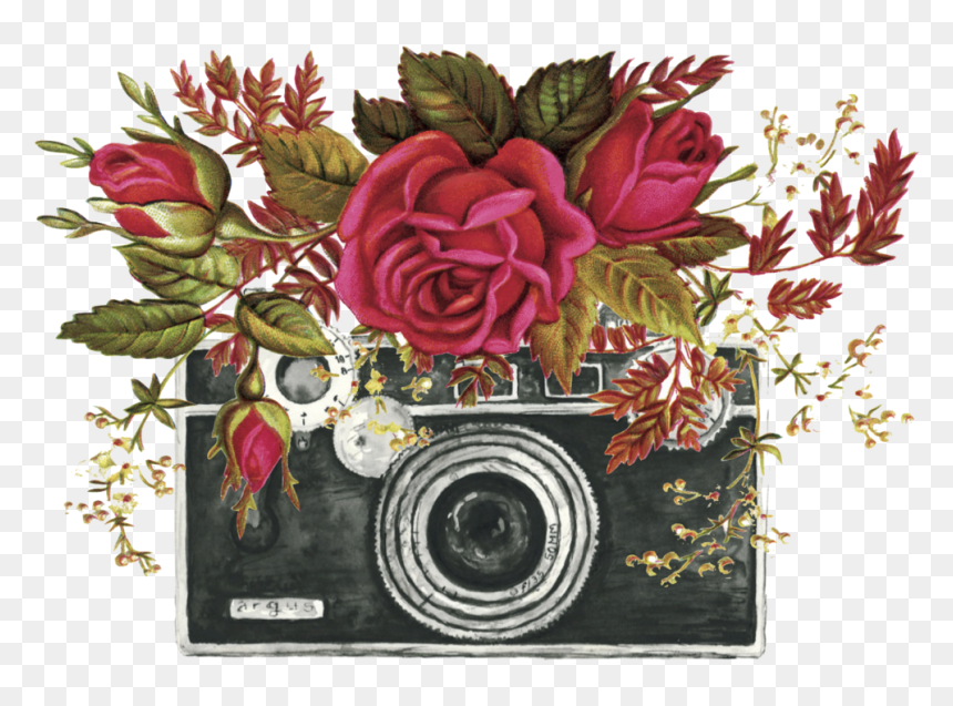 Camera Flower Designs Transp - Camera With Flowers Svg, HD Png Download - new background flowers design png