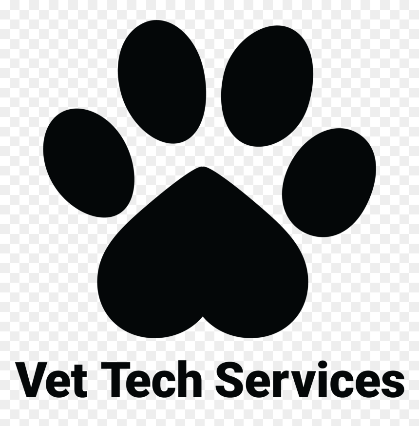 Help In Mexico Vet - Circle, HD Png Download - tech png