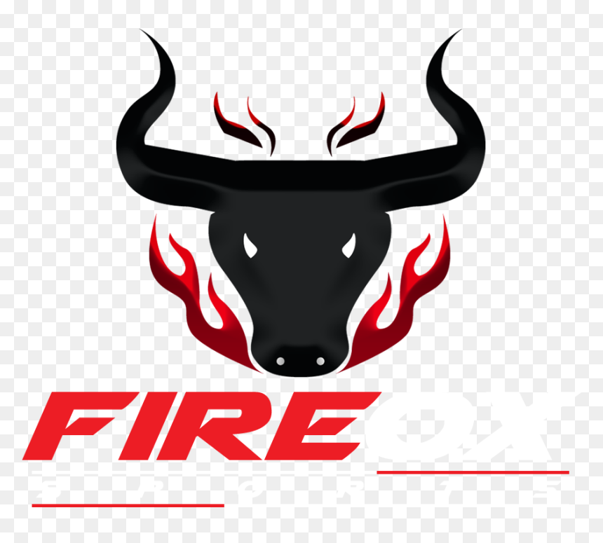 Fireox Sports, HD Png Download - cricket batting logo png