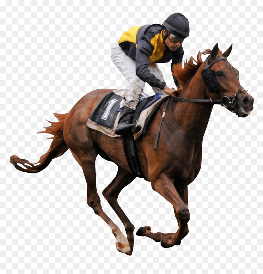 Race Horse Clip Arts - Horse Race Png, Transparent Png - horses png