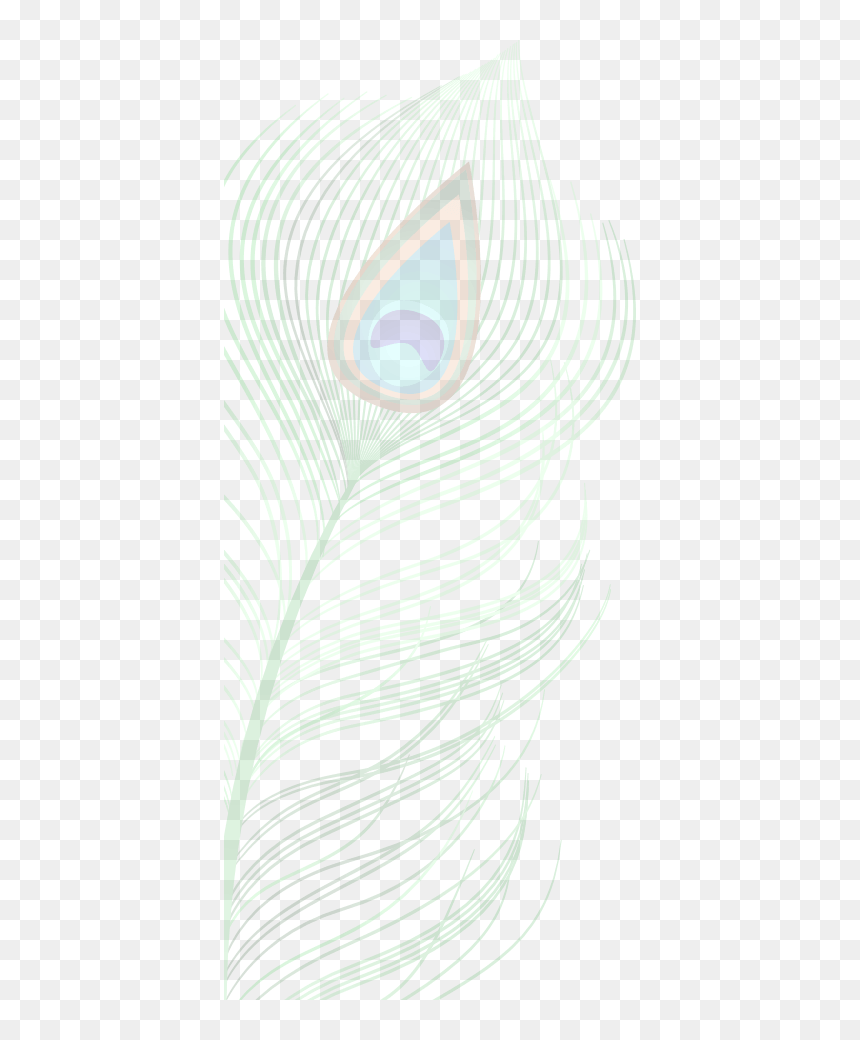 Sketch, HD Png Download - single peacock feathers png