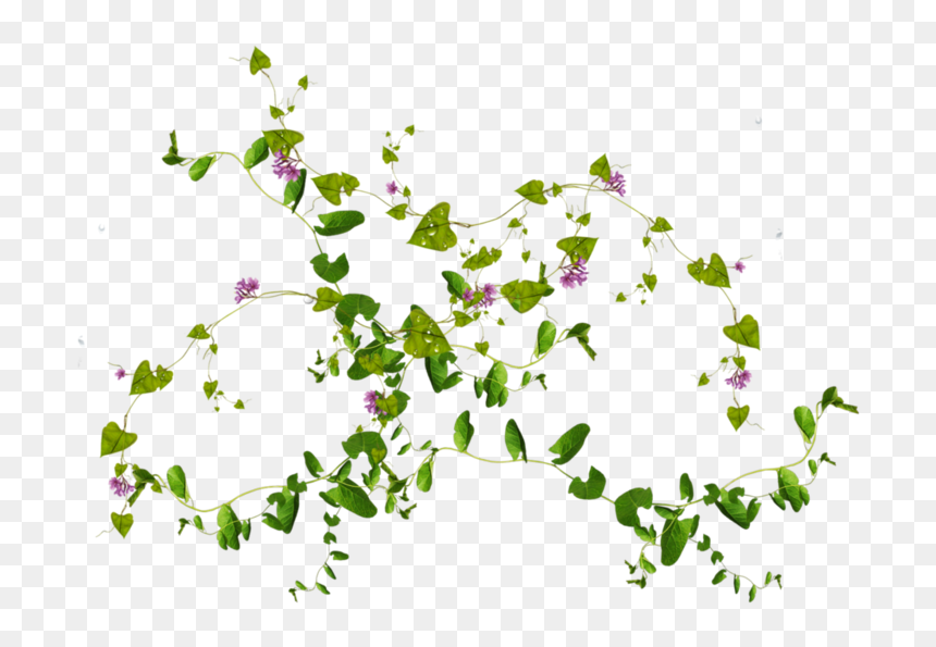 Green Leaves Png Pic - Plants In Wall Png, Transparent Png - falling green leaves png