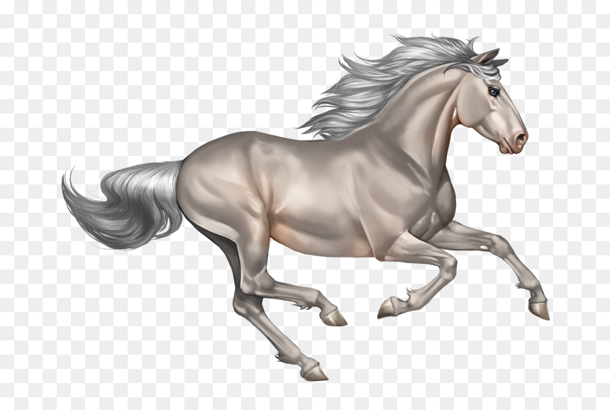 Transparent Background Horse Clipart, HD Png Download - horses png