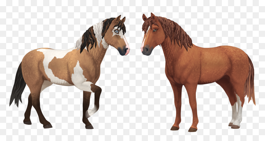 Star Stable Curly Horse, HD Png Download - horses png