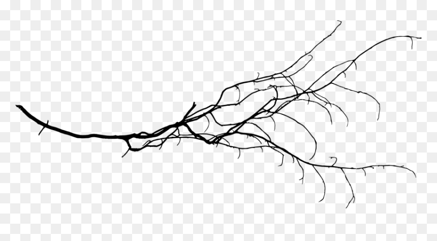 Free Png Tree Branch Png Images Transparent - Bransh Transparent, Png Download - png tree images with transparent background