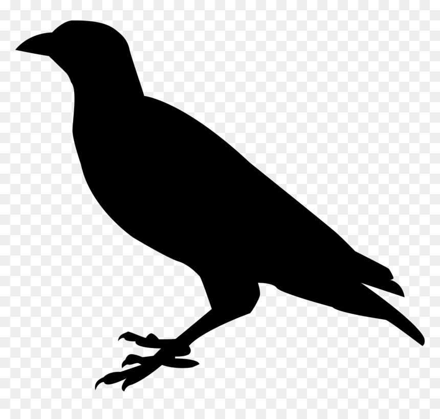 Raven Silhouette Png, Transparent Png - birds png hd