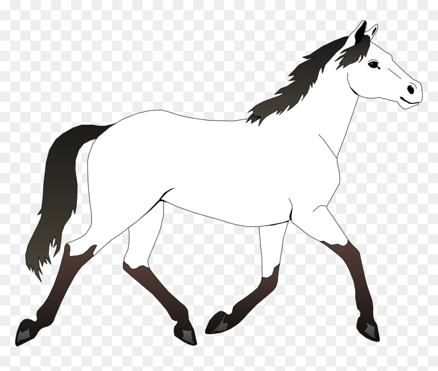 Black And White Horses - Horse Clipart Black And White, HD Png Download - horses png