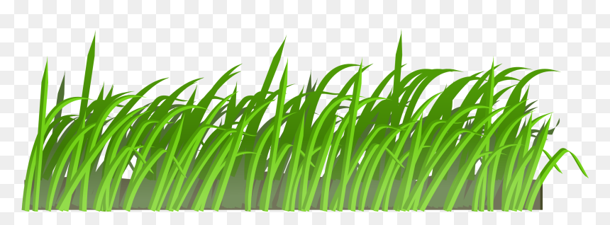 Grass Clip Art, HD Png Download - garden grass png