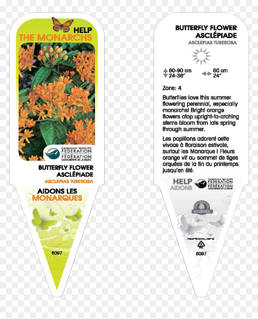 Look For Some Of These Tags - Chrysanths, HD Png Download - marigold png
