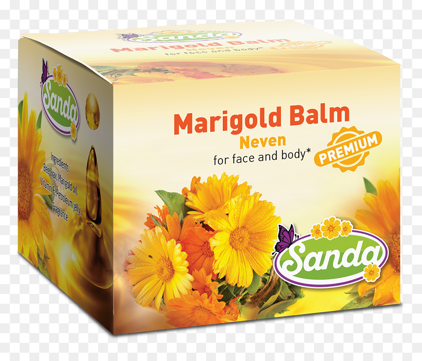 English Marigold , Png Download - English Marigold, Transparent Png - marigold png