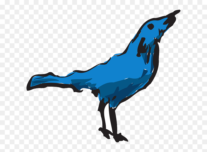Blue, Drawing, Bird, Wings, Art, Animal, Feathers - Clip Art, HD Png Download - single peacock feathers png