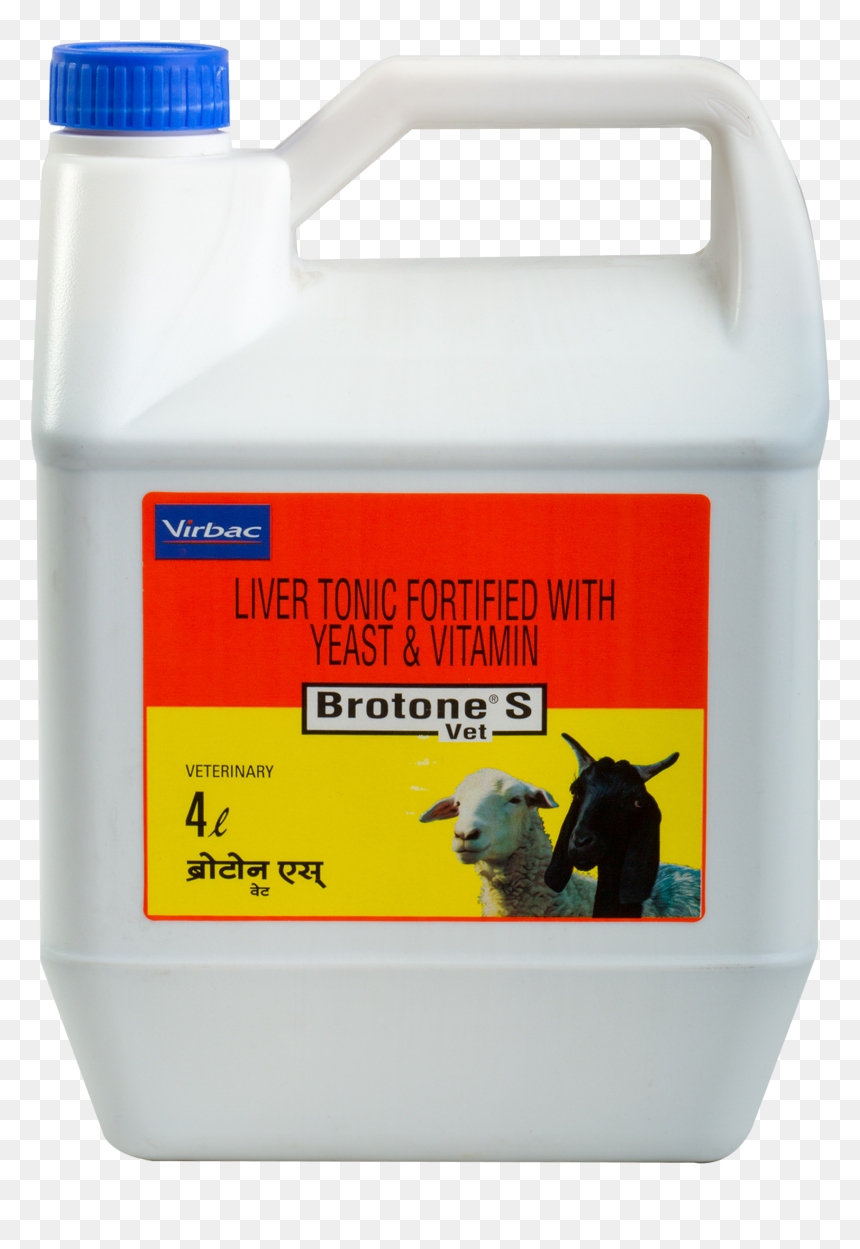 Liver Tonic For Goats, HD Png Download - indian goat png