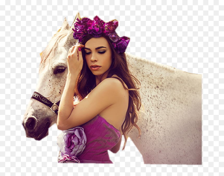 Photo Shoot, HD Png Download - horses png