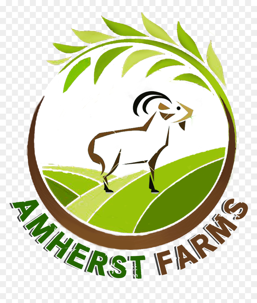 Goat, HD Png Download - indian goat png