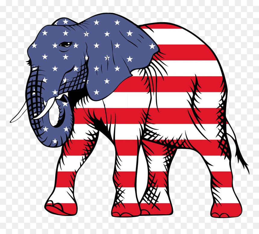 Elephant With American Flag, HD Png Download - hindu flag png