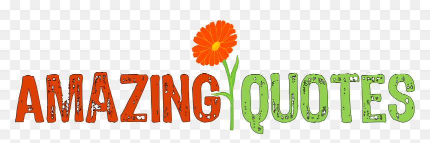 English Marigold , Png Download - English Marigold, Transparent Png - marigold png