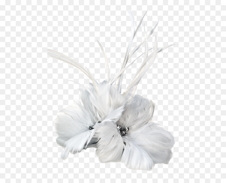 Feathers - Argentina Collection - White - Feather Accent Piece Argentina Collection, HD Png Download - single peacock feathers png