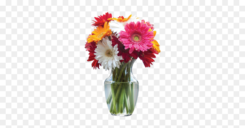 Flowers In Vase - Barberton Daisy, HD Png Download - flower stand png