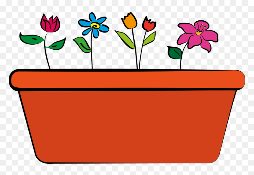 Maya Angelou Quotes This Is A Wonderful Day, HD Png Download - flower plant top view png